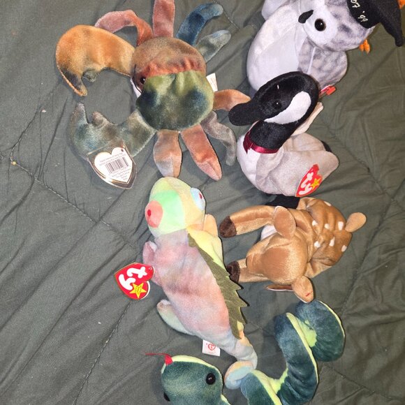 Collection of Beanie Babie - Picture 6 of 16